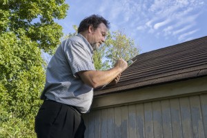 What Insurance Adjusters Look for In Storm Damaged Roofs